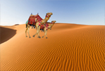jaisalmer desert safari tour packages
