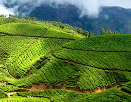 kerala tour package for couple from chennai