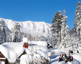 kashmir group tour package from srinagar